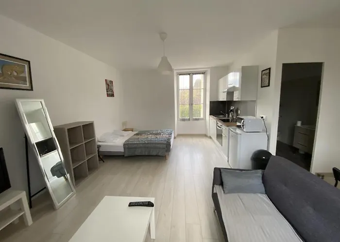 Renove Avec Cuisine Americaine Et Wifi, Proche Des Thermes Saint Roch - Fr-1-541-32 公寓 拉罗什波赛