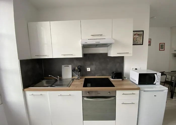 公寓 Renove Avec Cuisine Americaine Et Wifi, Proche Des Thermes Saint Roch - Fr-1-541-32 *