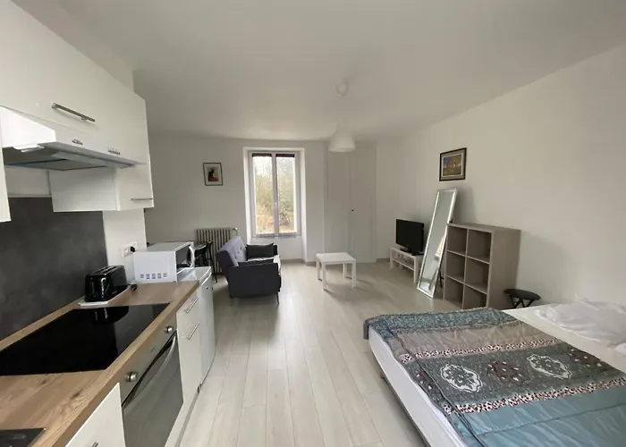 Renove Avec Cuisine Americaine Et Wifi, Proche Des Thermes Saint Roch - Fr-1-541-32 拉罗什波赛